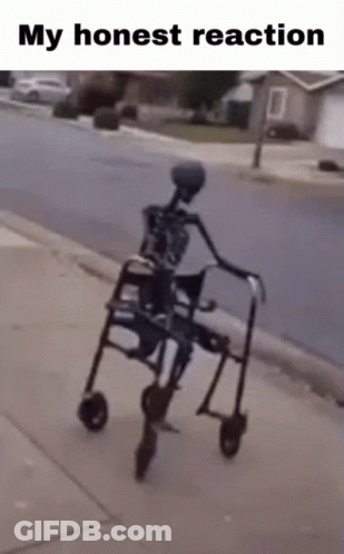 A Skeleton Is Riding A Walker On The Sidewalk GIF