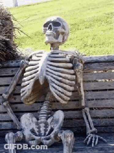 A Skeleton Is Sitting On A Wooden Bench In The Grass . GIF