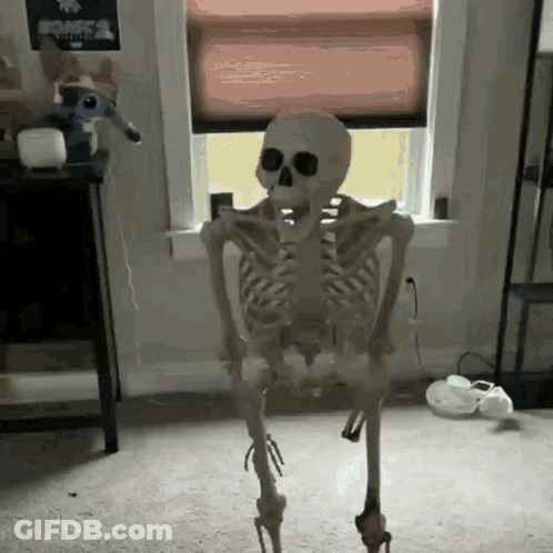 A Skeleton Is Standing In Front Of A Window In A Room .. GIF