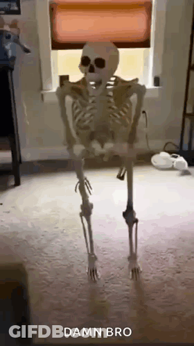 A Skeleton Is Standing In Front Of A Window With The Words Damn Bro Above It GIF