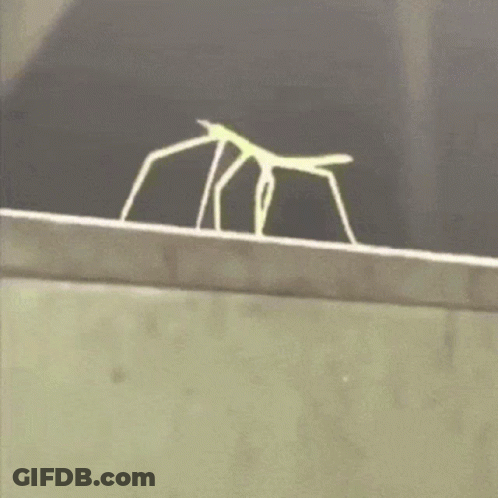 A Skeleton Is Standing On A Ledge On A Building . GIF