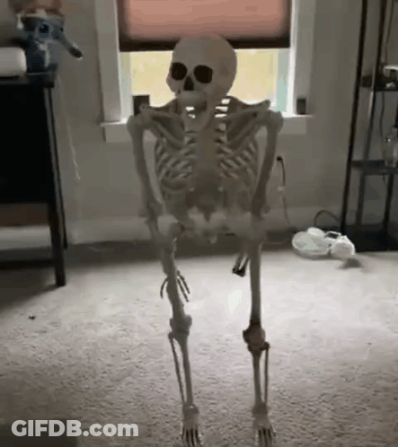 A Skeleton Is Standing On Its Hind Legs In A Living Room . GIF