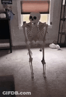 A Skeleton Is Standing On The Floor In Front Of A Window . GIF