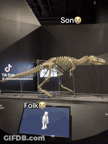 A Skeleton Of A Dinosaur Is Displayed Next To A Screen That Says Folk GIF