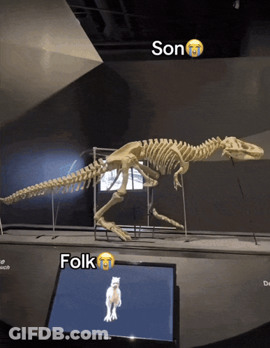 A Skeleton Of A Dinosaur Is Next To A Screen That Says Son GIF