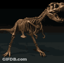 A Skeleton Of A Dinosaur Is Standing On A Black Surface GIF