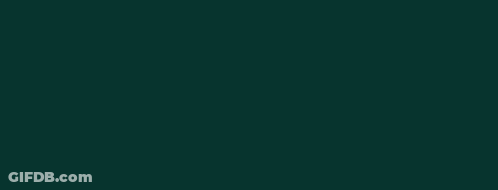 A Skoda Logo On A Dark Green Background GIF
