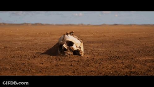 A Skull Is Buried In The Dirt In The Middle Of The Desert GIF