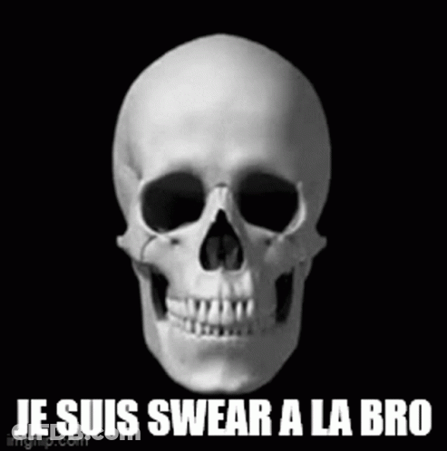 A Skull With The Words Je Suis Swear A La Bro Written Below It GIF