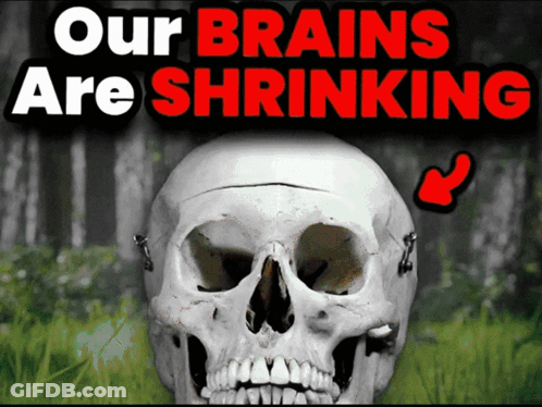 A Skull With The Words " Our Brains Are Shrinking " Behind It GIF