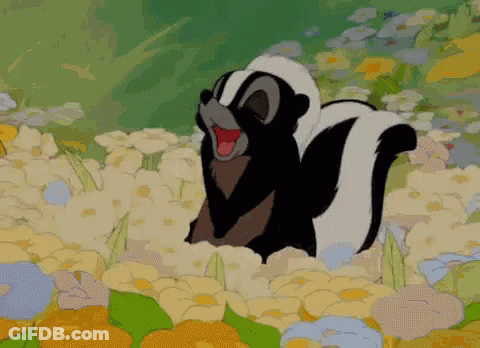 A Skunk Is Standing In A Field Of Flowers With Its Mouth Open . GIF