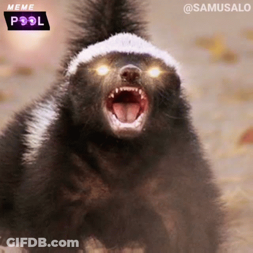 A Skunk With Glowing Eyes And A Meme Pool Logo In The Background GIF