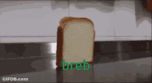 A Slice Of Bread On A Counter With The Word Breb On It GIF