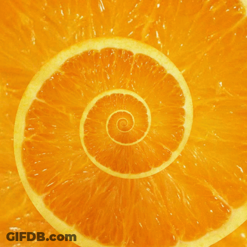 A Slice Of Orange With A Spiral In The Center GIF