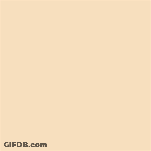 A Slice Of Pumpkin Pie With The Words Happy Friendsgiving On It GIF
