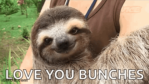 A Sloth Is Being Held By A Woman With The Words Love You Bunches Written On The Bottom GIF
