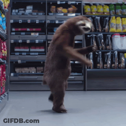 A Sloth Is Dancing In A Grocery Store GIF