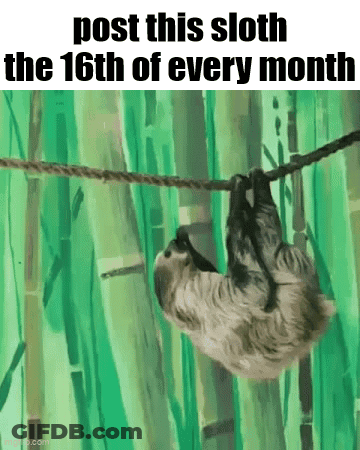A Sloth Is Hanging From A Rope With The Words `` Post This Sloth The 16Th Of Every Month '' Written On It . GIF
