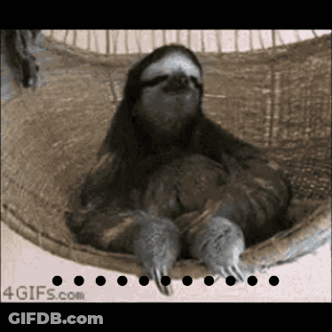 A Sloth Is Laying In A Hammock With A 4Gifs.com Logo In The Corner GIF