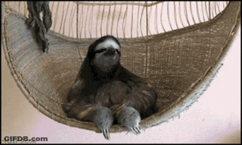 A Sloth Is Laying In A Hammock With The Website 4Gifs.com Visible GIF
