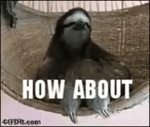 A Sloth Is Laying In A Hammock With The Words `` How About '' Written Above It . GIF