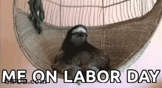 A Sloth Is Laying In A Hammock With The Words `` Me On Labor Day '' Written Above It . GIF