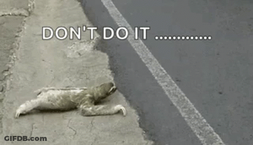 A Sloth Is Laying On The Side Of The Road With The Words `` Do N't Do It '' . GIF