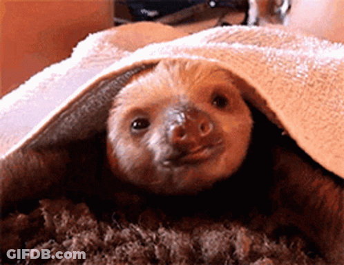 A Sloth Is Laying Under A Blanket On The Floor GIF