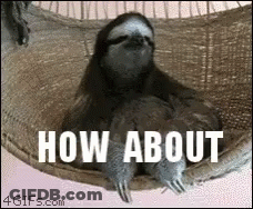 A Sloth Is Sitting In A Hammock With The Words `` How About '' Written On It . GIF