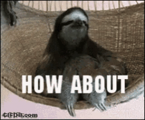 A Sloth Is Sitting In A Hammock With The Words " How About " Written On It GIF