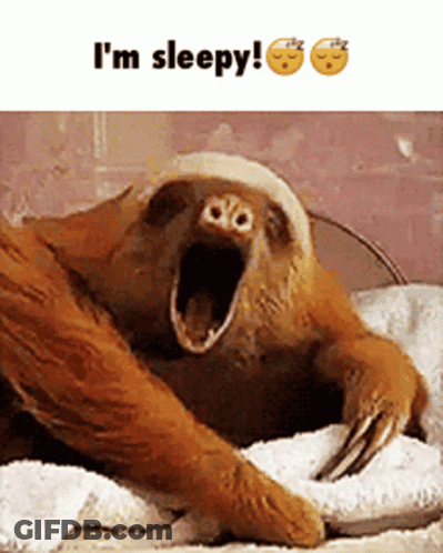 A Sloth With Its Mouth Open And The Words I 'M Sleepy GIF