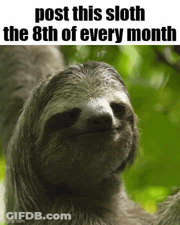 A Sloth With The Words Post This Sloth The 8Th Of Every Month GIF