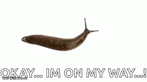A Slug Is Crawling On A White Background With The Words `` Okay ... Im On My Way ... '' Written Below It . GIF