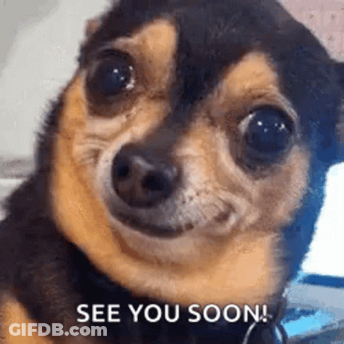 A Small Brown And Black Dog Is Smiling And Saying `` See You Soon ! '' GIF