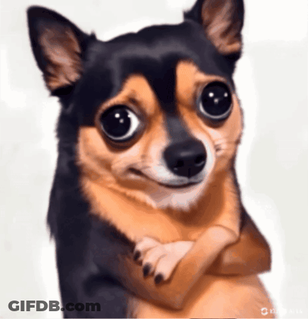 A Small Brown And Black Dog With Big Eyes Making A Face GIF