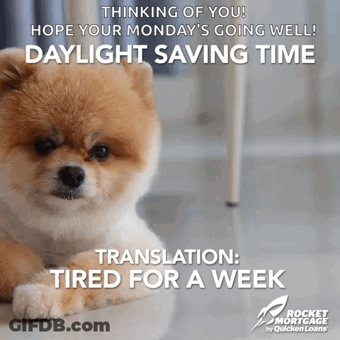 A Small Brown And White Dog Is Laying On The Floor With The Caption " Thinking Of You " GIF