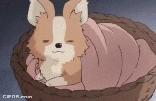 A Small Brown And White Dog Is Sleeping In A Basket With A Pink Blanket . GIF
