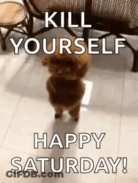 A Small Brown Poodle Is Standing On Its Hind Legs In A Living Room . GIF