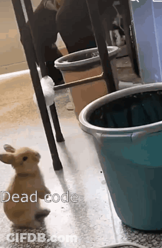 A Small Brown Rabbit Standing Next To A Blue Bucket That Says Read Code On The Floor GIF