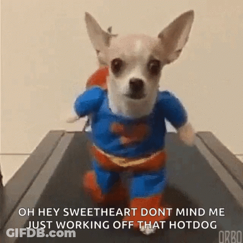 A Small Dog In A Superman Costume Is Running On A Treadmill GIF
