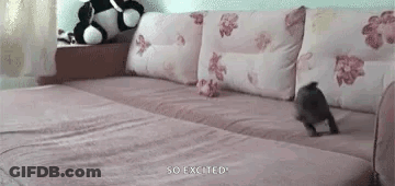 A Small Dog Is Jumping On A Couch In A Living Room . GIF