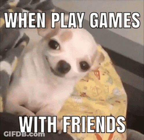 A Small Dog Is Laying On A Bed With A Meme That Says When Play Games With Friends . GIF