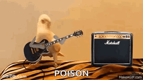 A Small Dog Is Playing A Guitar Next To A Marshall Amplifier . GIF