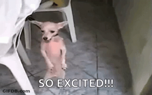 A Small Dog Is Standing On Its Hind Legs Next To A Chair And A Table . GIF