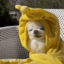 A Small Dog Is Wearing A Yellow Hooded Blanket GIF
