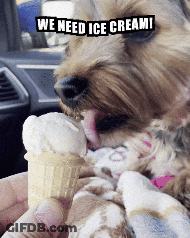A Small Dog Licking An Ice Cream Cone With The Words We Need Ice Cream Written Above It GIF