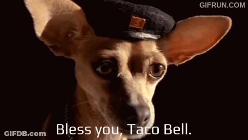 A Small Dog Wearing A Black Hat With The Words Bless You Taco Bell Below It GIF