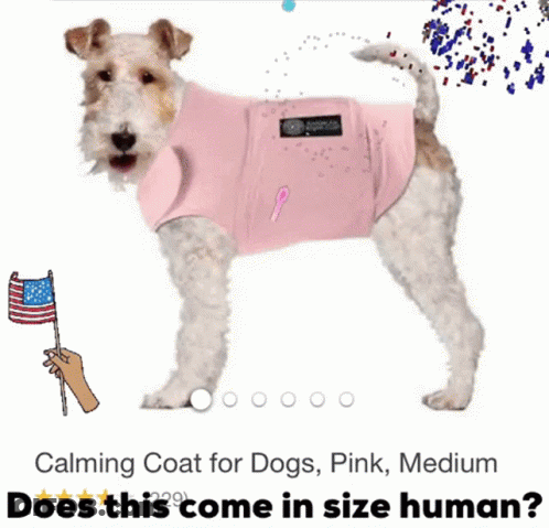 A Small Dog Wearing A Pink Calming Coat GIF