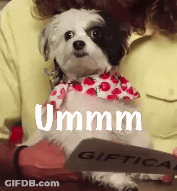 A Small Dog Wearing A Strawberry Shirt Is Being Held By A Person GIF