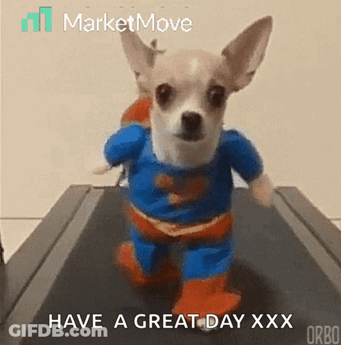 A Small Dog Wearing A Superman Costume Is Running On A Treadmill .. GIF